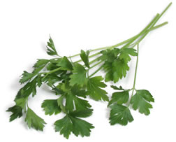 parsley_italian