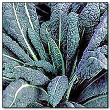 Black Kale Black Kale