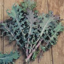 Red Kale Red Kale