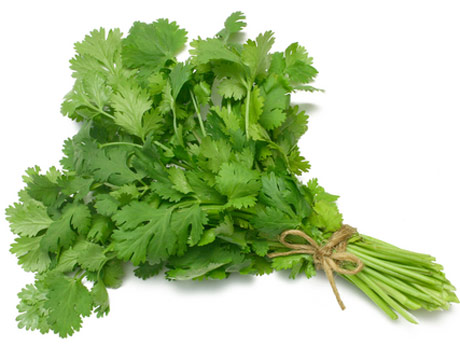 cilantro-de