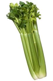 Celery