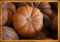Castilla Pumpkin
