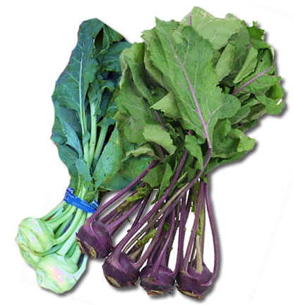 kohlrabi_2colours